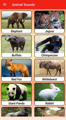 Animal Sounds android App screenshot 6