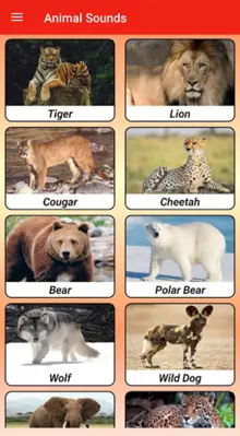 Animal Sounds android App screenshot 7